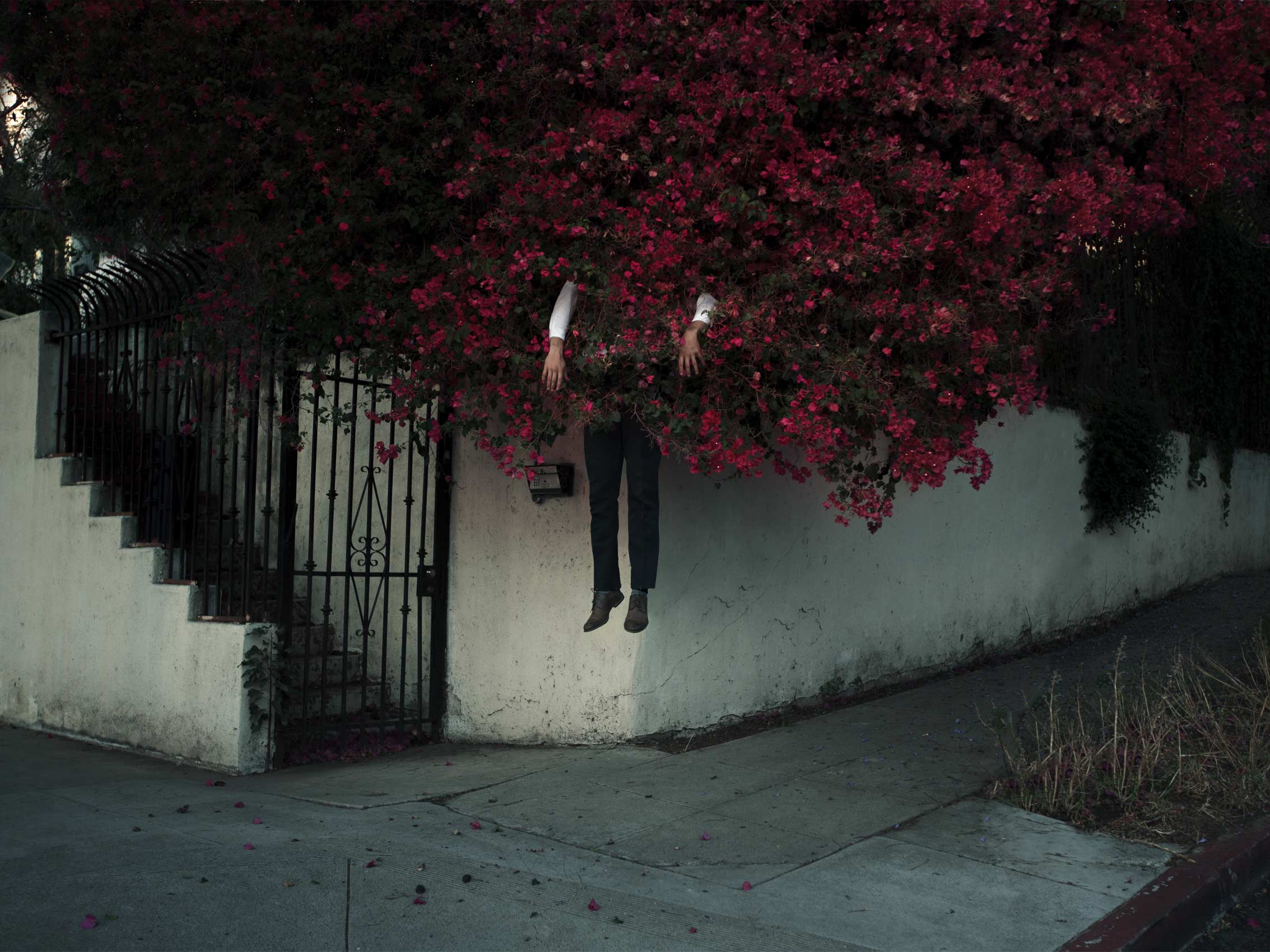 Shrub City